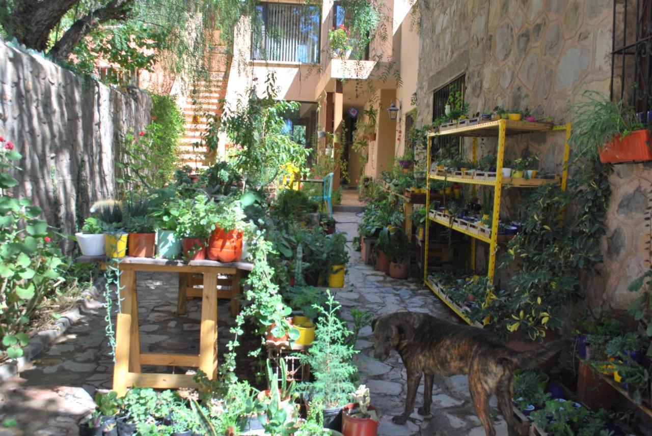 Apartamento En El Vivero Tilcara Exterior photo
