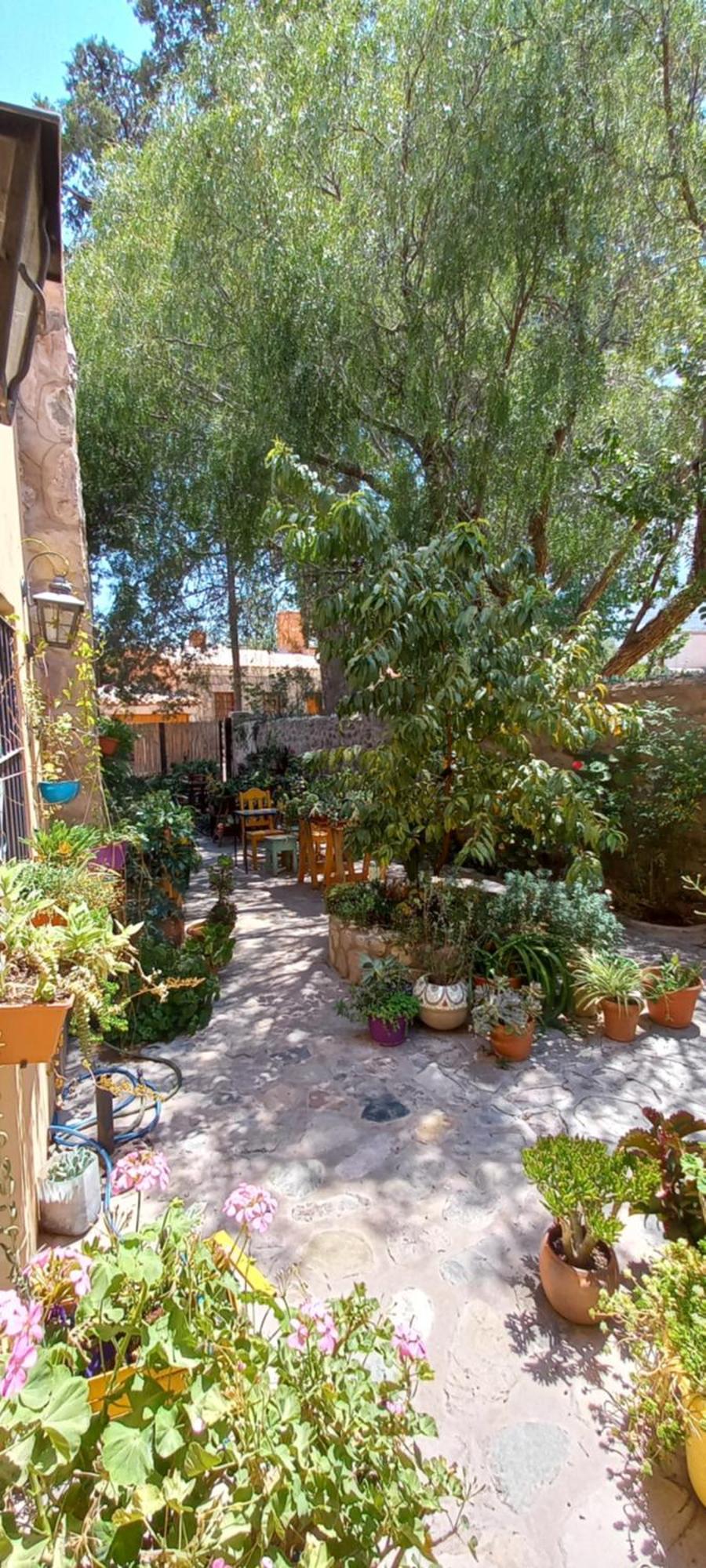 Apartamento En El Vivero Tilcara Exterior photo